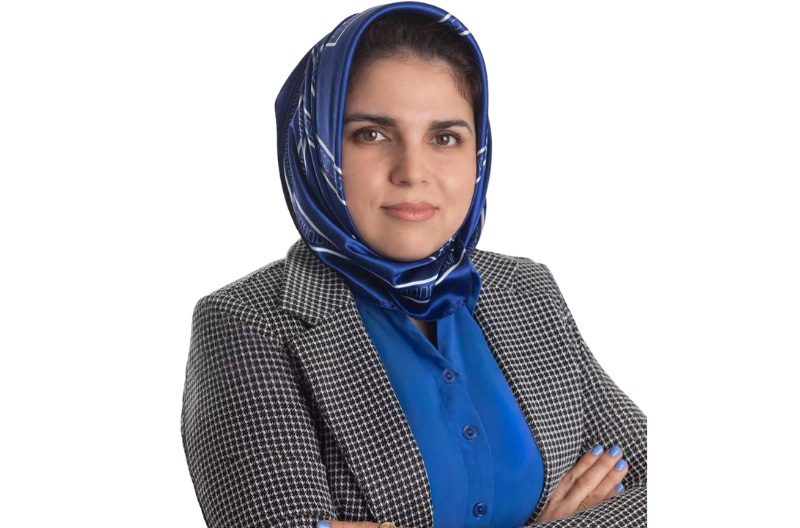 Tamkin Nabavian